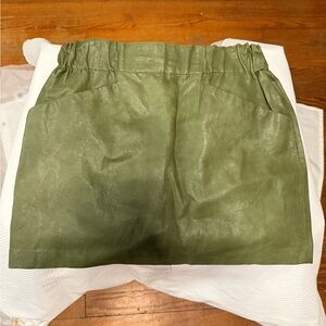 Zara Basic Sage Green Skirt